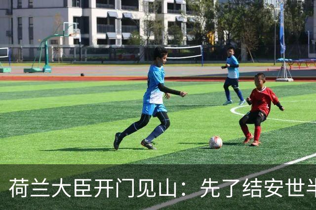 荷兰大臣开门见山：先了结安世半导体，再谈光刻机全面合作